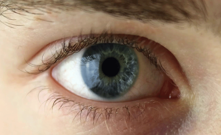 Mavi Gözler Gerçekten Mavi Değildir