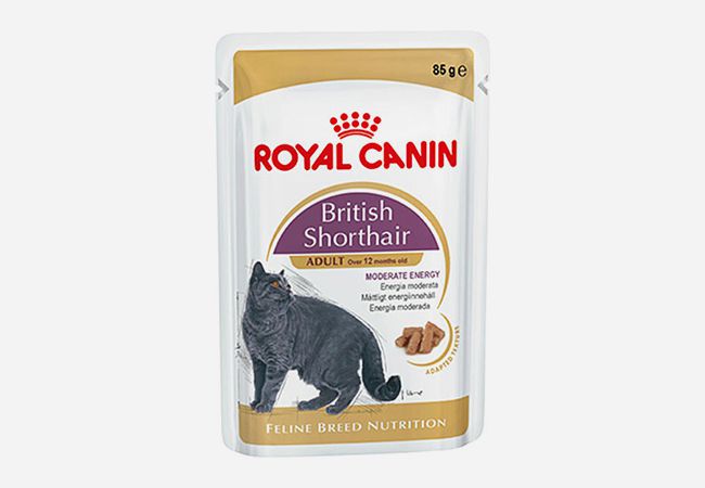 Royal Canin British Shorthair Kedi Maması