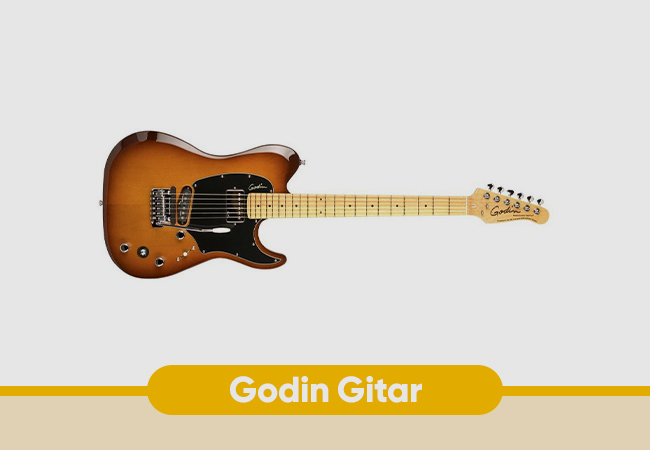 Godin Gitar 