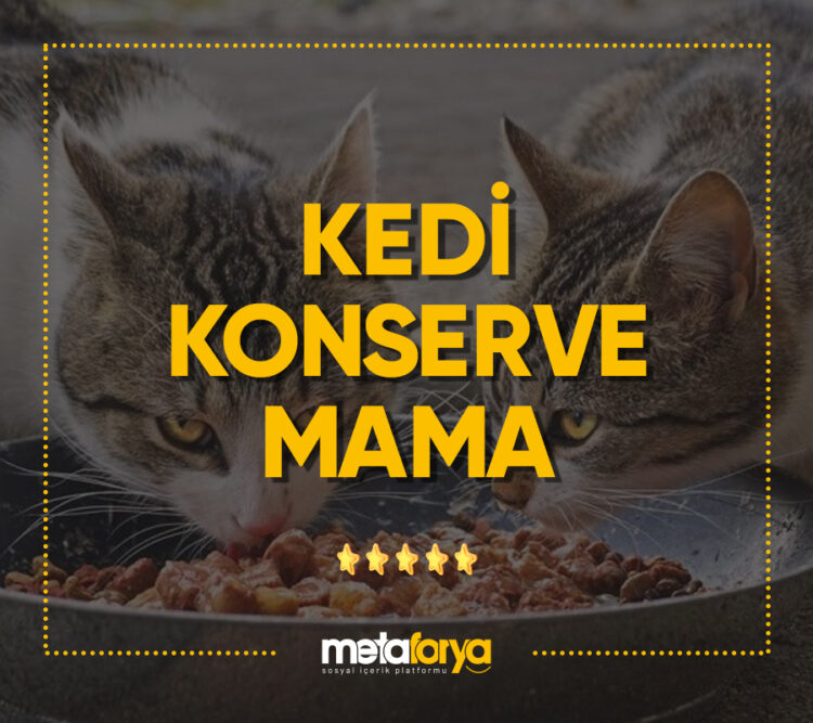 Kedi Konserve Mama Markaları